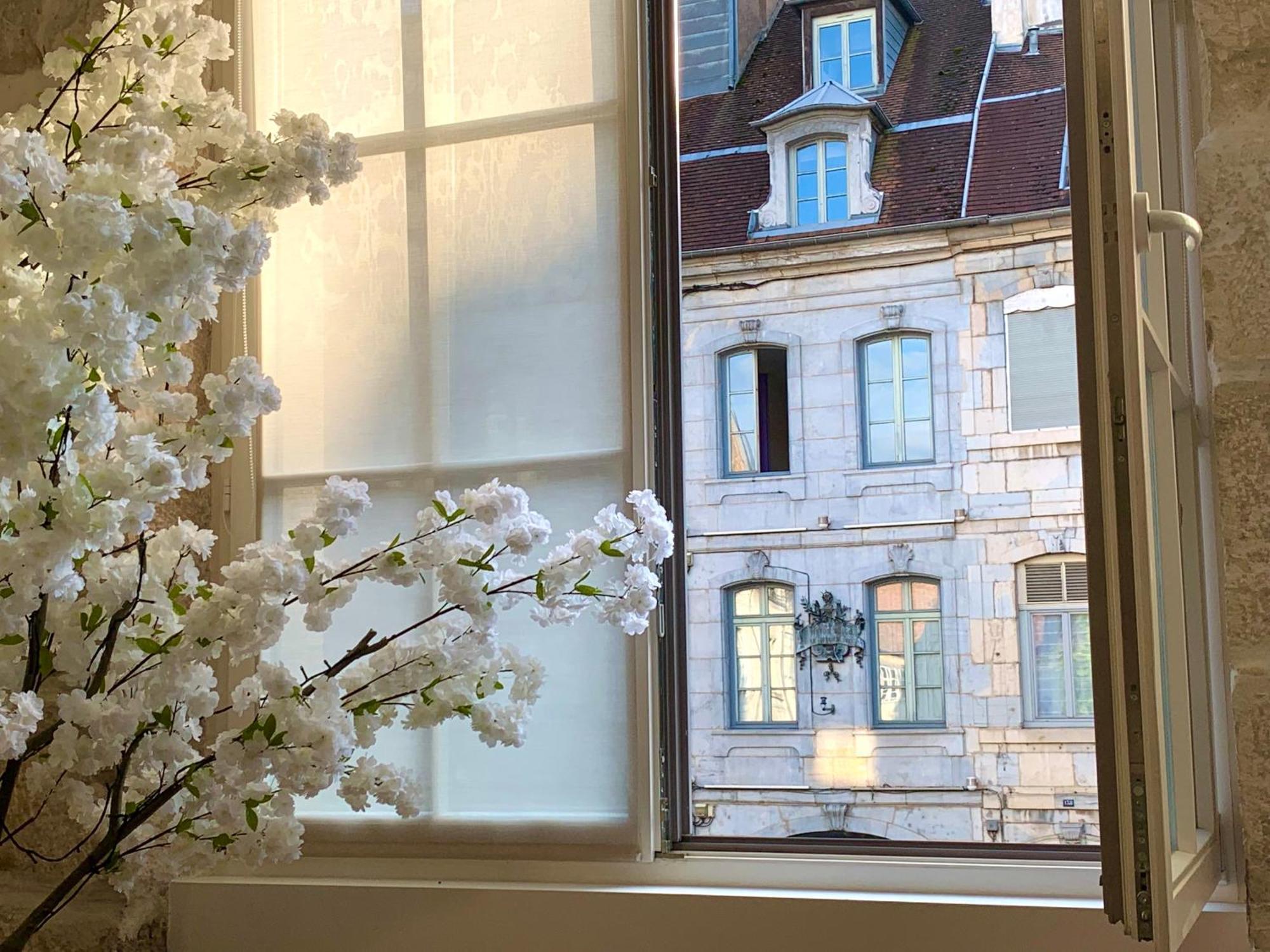 Les Fabuleux Appartements Du Coeur De Ville - Place Victor Hugo Besançon Exteriér fotografie